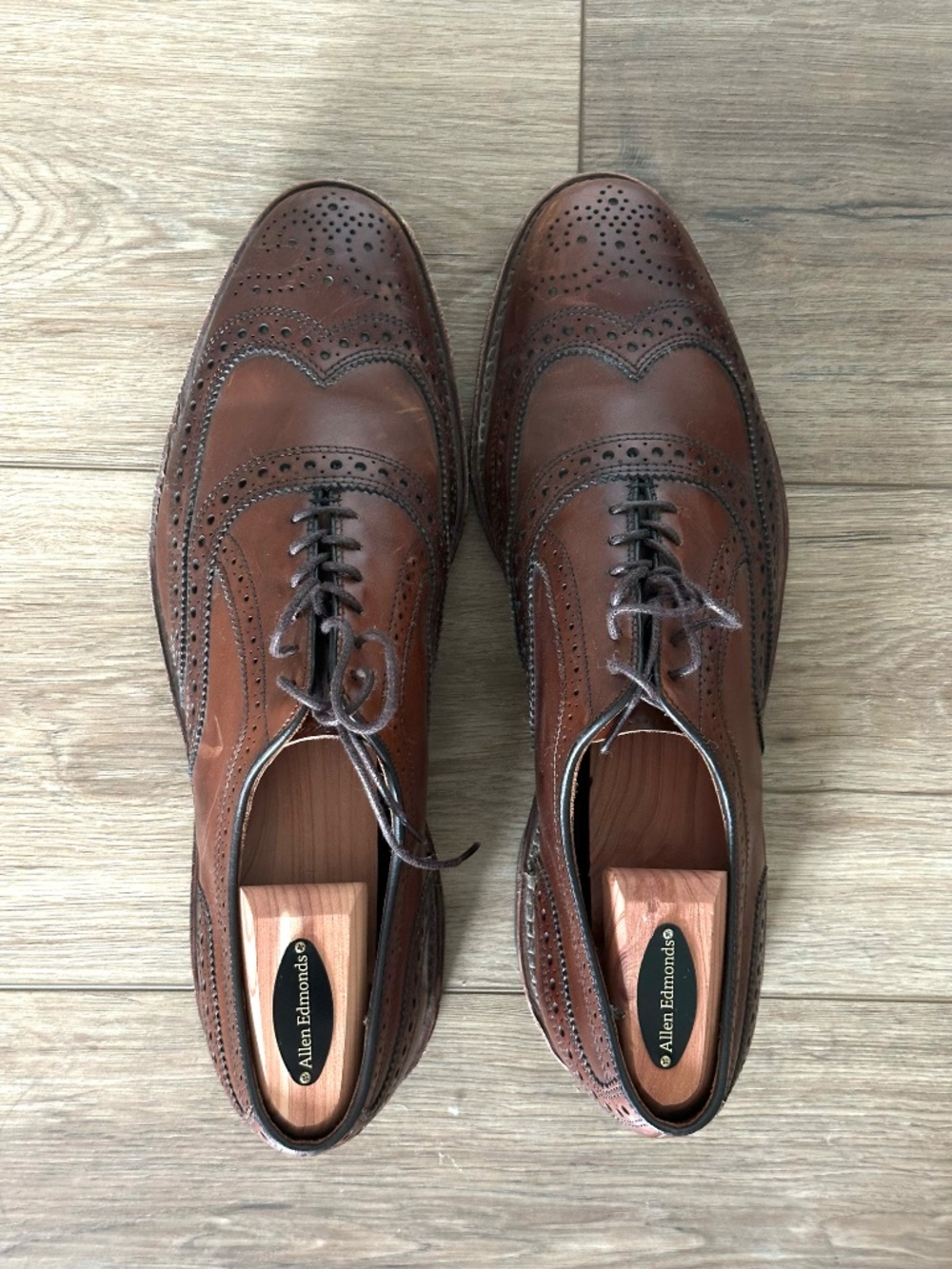 Allen Edmonds McAllister Wingtip Oxford Dress Shoe in Chili Leather